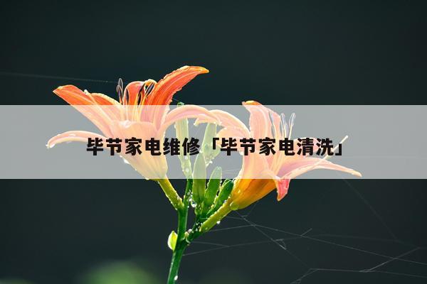 毕节家电维修「毕节家电清洗」