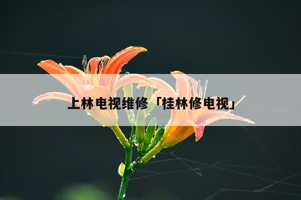 上林电视维修「桂林修电视」