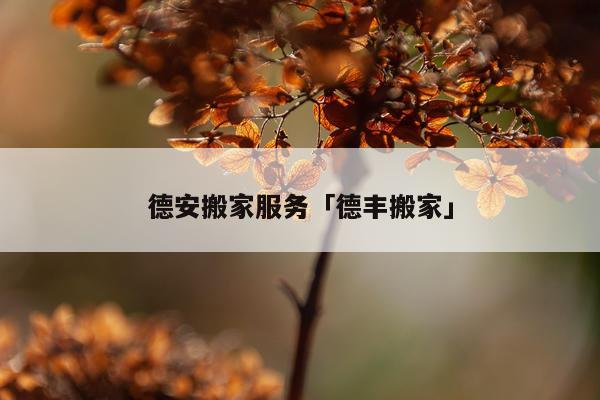 德安搬家服务「德丰搬家」
