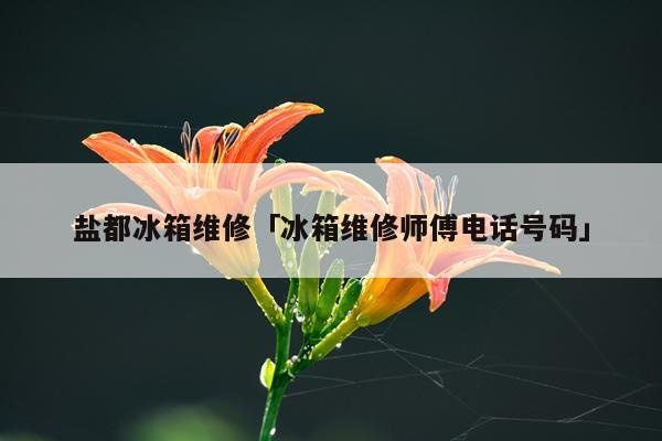 盐都冰箱维修「冰箱维修师傅电话号码」