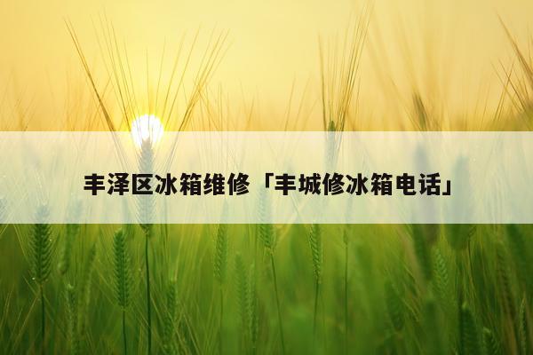 丰泽区冰箱维修「丰城修冰箱电话」