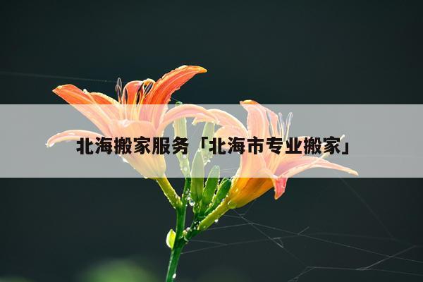 北海搬家服务「北海市专业搬家」