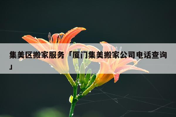 集美区搬家服务「厦门集美搬家公司电话查询」