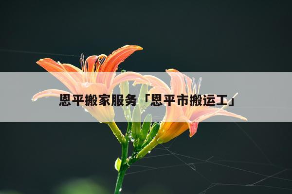 恩平搬家服务「恩平市搬运工」