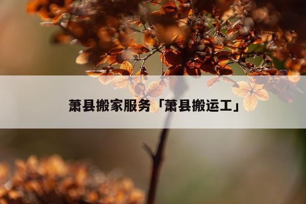 萧县搬家服务「萧县搬运工」