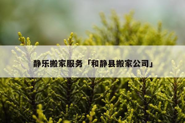 静乐搬家服务「和静县搬家公司」
