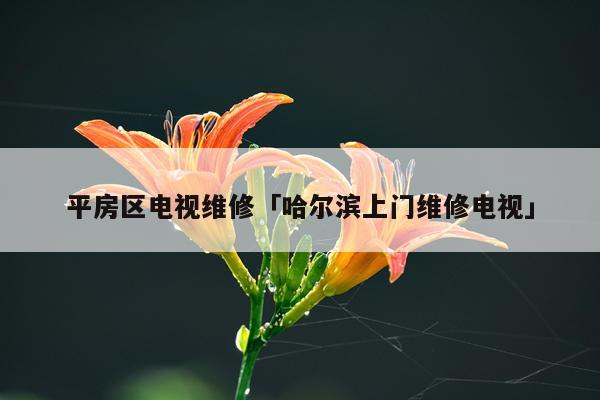 平房区电视维修「哈尔滨上门维修电视」