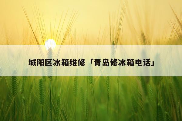 城阳区冰箱维修「青岛修冰箱电话」
