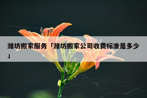 潍坊搬家服务「潍坊搬家公司收费标准是多少」