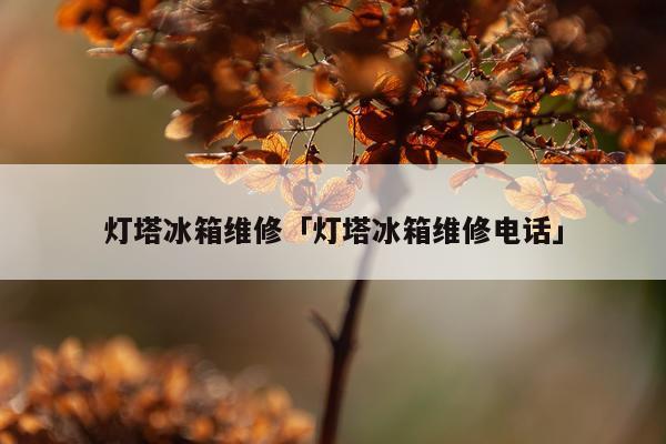 灯塔冰箱维修「灯塔冰箱维修电话」
