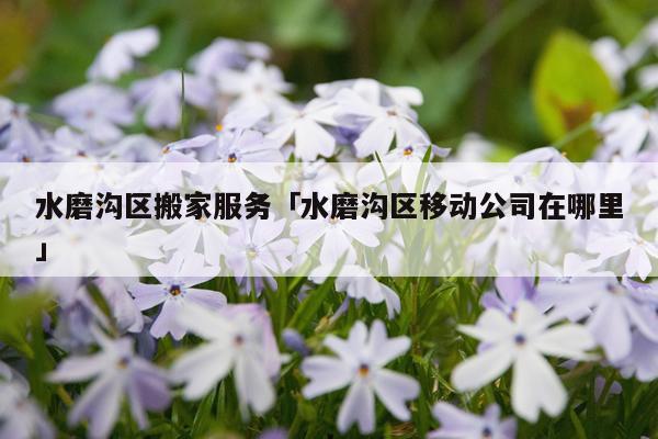 水磨沟区搬家服务「水磨沟区移动公司在哪里」