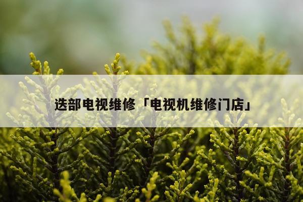 迭部电视维修「电视机维修门店」