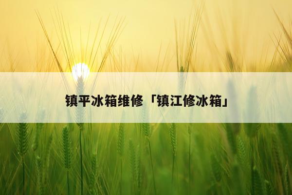 镇平冰箱维修「镇江修冰箱」