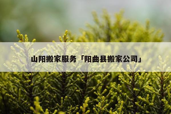 山阳搬家服务「阳曲县搬家公司」