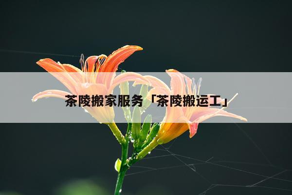 茶陵搬家服务「茶陵搬运工」