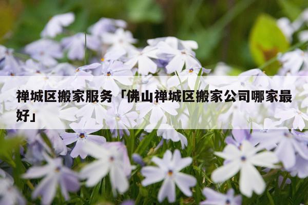 禅城区搬家服务「佛山禅城区搬家公司哪家最好」