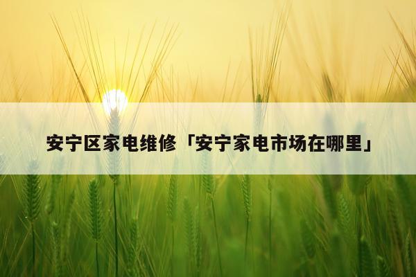 安宁区家电维修「安宁家电市场在哪里」