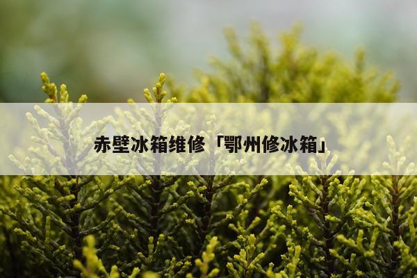 赤壁冰箱维修「鄂州修冰箱」