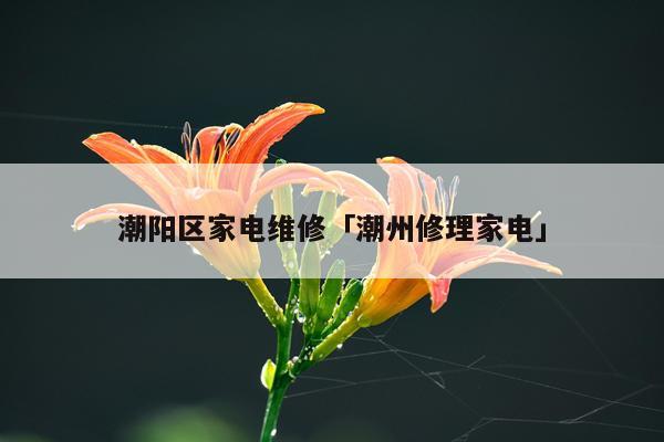 潮阳区家电维修「潮州修理家电」