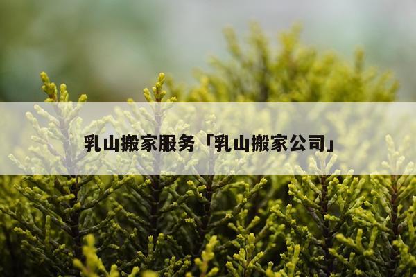 乳山搬家服务「乳山搬家公司」