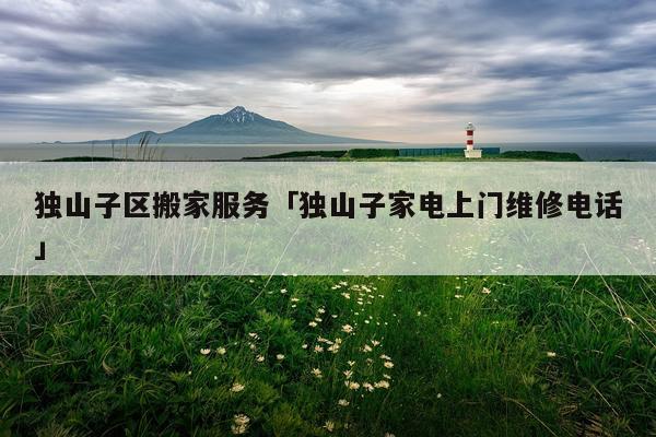 独山子区搬家服务「独山子家电上门维修电话」