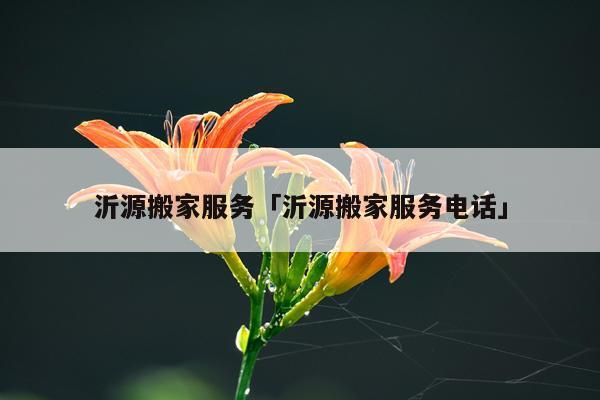 沂源搬家服务「沂源搬家服务电话」