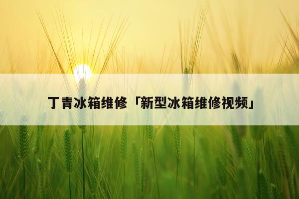 丁青冰箱维修「新型冰箱维修视频」