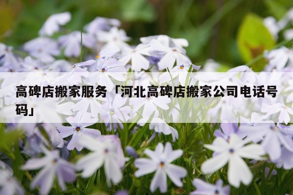高碑店搬家服务「河北高碑店搬家公司电话号码」