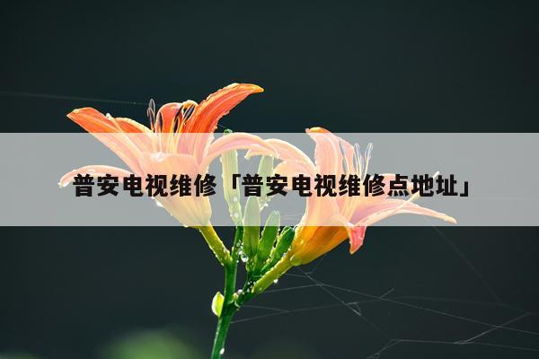 普安电视维修「普安电视维修点地址」