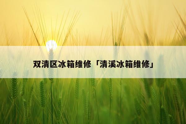 双清区冰箱维修「清溪冰箱维修」