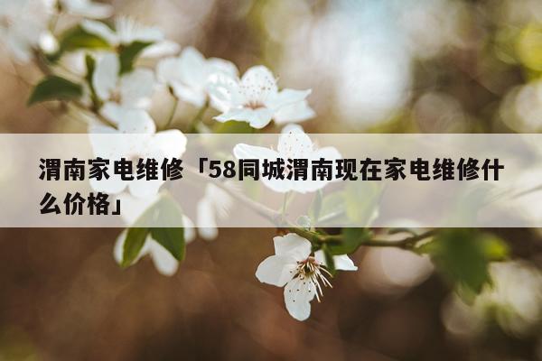渭南家电维修「58同城渭南现在家电维修什么价格」