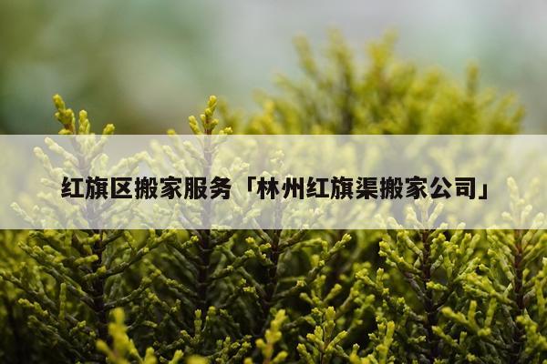 红旗区搬家服务「林州红旗渠搬家公司」