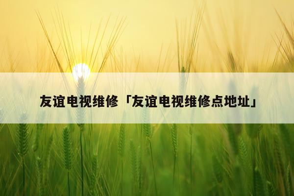 友谊电视维修「友谊电视维修点地址」