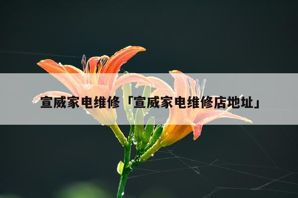 宣威家电维修「宣威家电维修店地址」