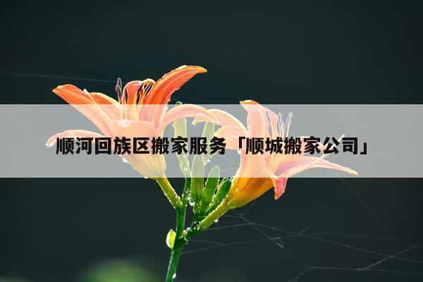 顺河回族区搬家服务「顺城搬家公司」