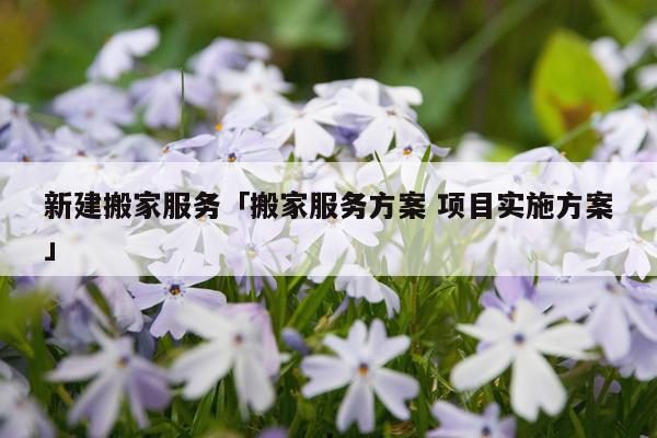 新建搬家服务「搬家服务方案 项目实施方案」