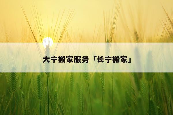 大宁搬家服务「长宁搬家」