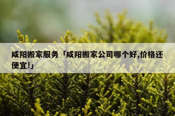 咸阳搬家服务「咸阳搬家公司哪个好,价格还便宜!」