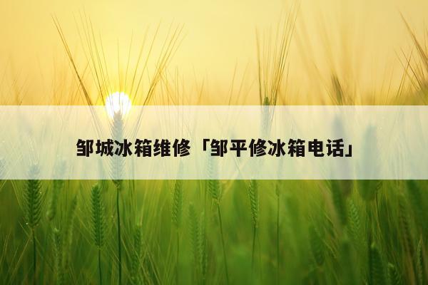邹城冰箱维修「邹平修冰箱电话」