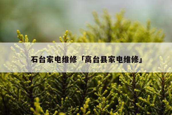 石台家电维修「高台县家电维修」