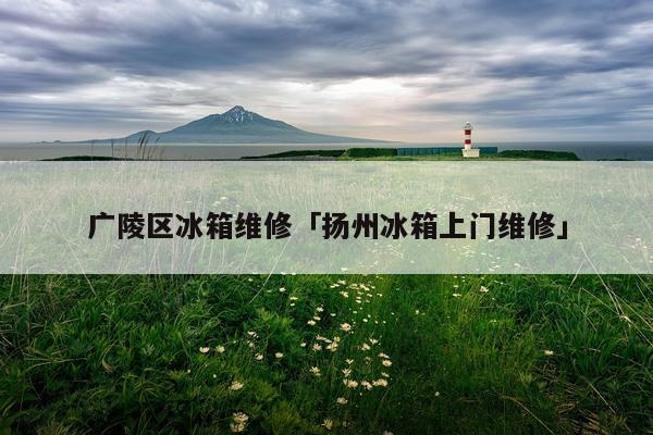 广陵区冰箱维修「扬州冰箱上门维修」
