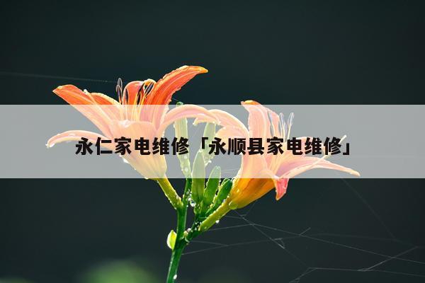 永仁家电维修「永顺县家电维修」