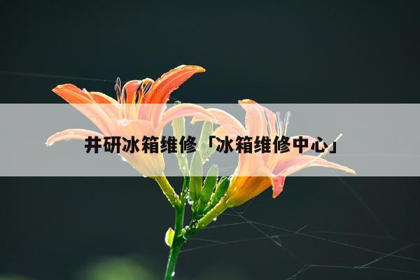 井研冰箱维修「冰箱维修中心」
