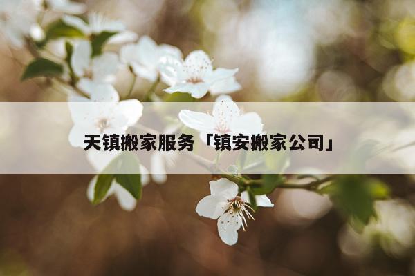 天镇搬家服务「镇安搬家公司」