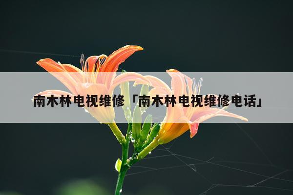 南木林电视维修「南木林电视维修电话」