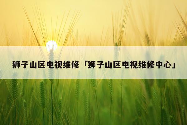 狮子山区电视维修「狮子山区电视维修中心」