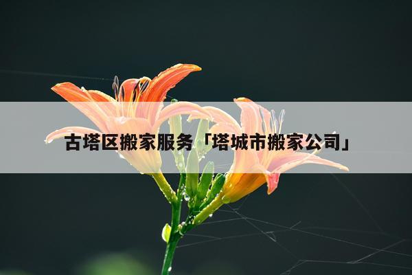 古塔区搬家服务「塔城市搬家公司」