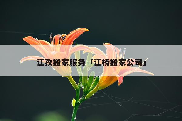 江孜搬家服务「江桥搬家公司」