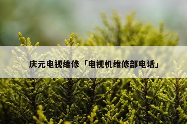 庆元电视维修「电视机维修部电话」