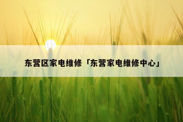 东营区家电维修「东营家电维修中心」